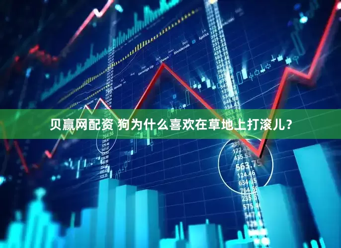 贝赢网配资 狗为什么喜欢在草地上打滚儿？