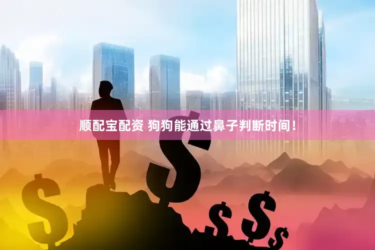 顺配宝配资 狗狗能通过鼻子判断时间！