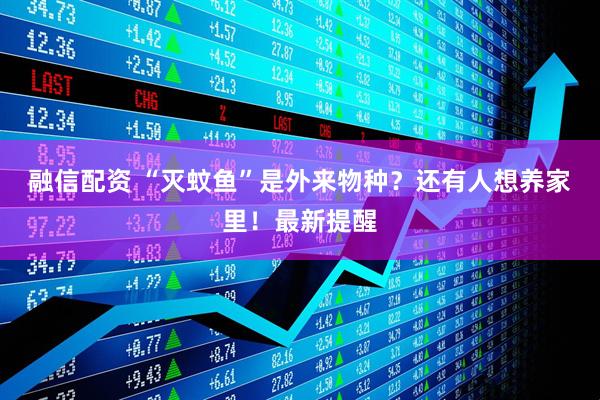 融信配资 “灭蚊鱼”是外来物种？还有人想养家里！最新提醒