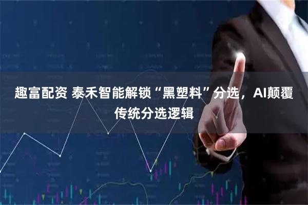 趣富配资 泰禾智能解锁“黑塑料”分选，AI颠覆传统分选逻辑
