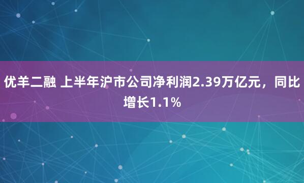 优羊二融 上半年沪市公司净利润2.39万亿元，同比增长1.1%