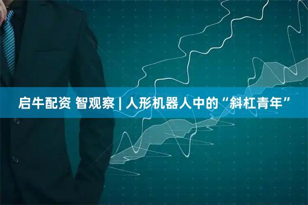 启牛配资 智观察 | 人形机器人中的“斜杠青年”