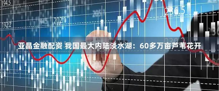 亚晶金融配资 我国最大内陆淡水湖：60多万亩芦苇花开