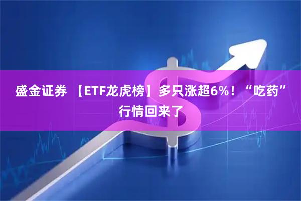 盛金证券 【ETF龙虎榜】多只涨超6%！“吃药”行情回来了